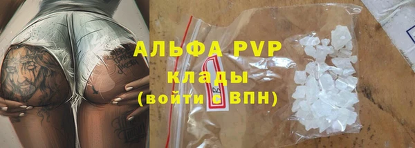 шишки Тайга