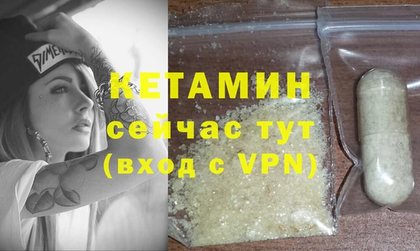 шишки Сясьстрой