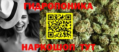 молекула духа Заволжье